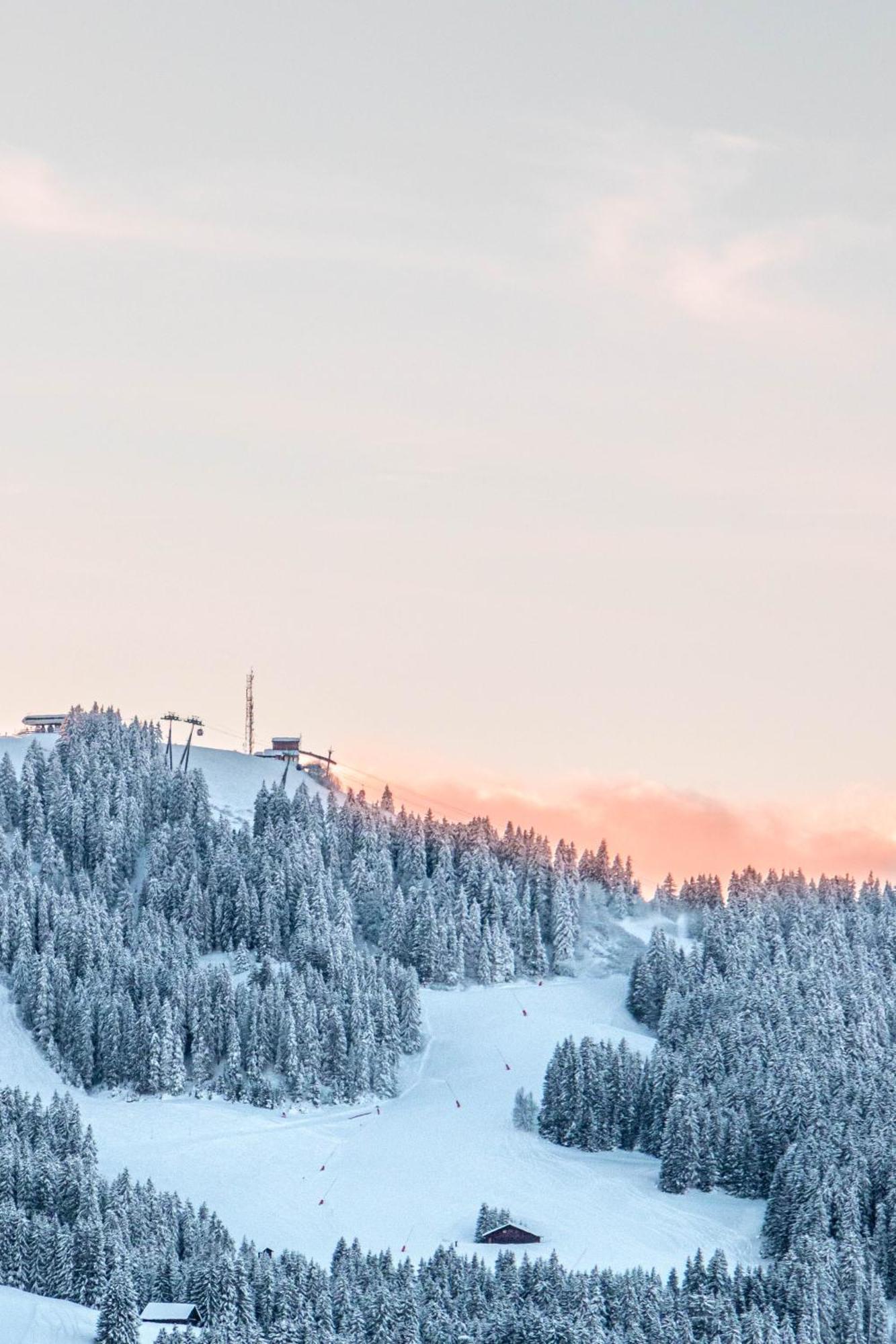 Chalet Mont D'Arbois Ski Et Golf メジェーヴ エクステリア 写真